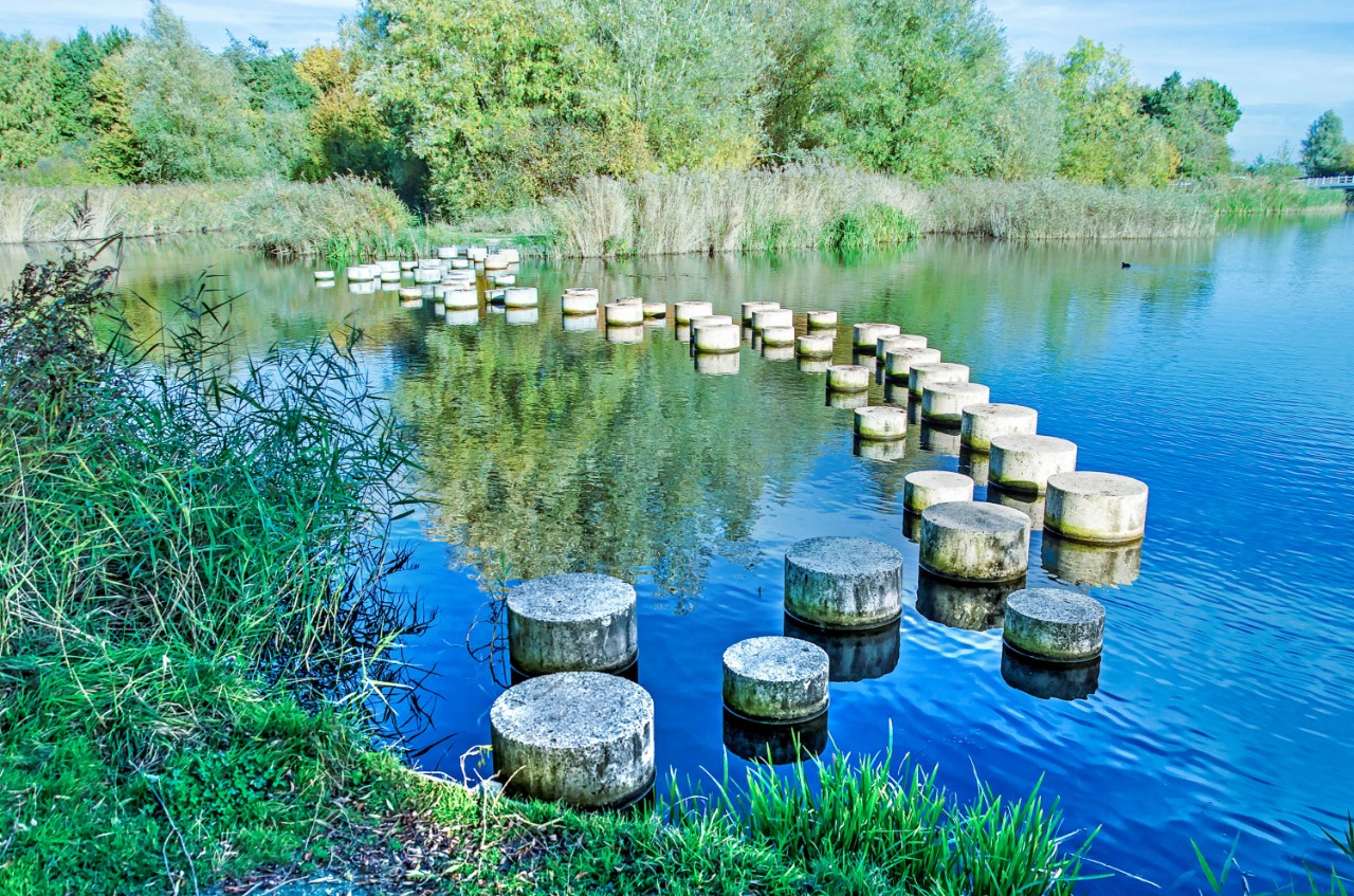 Meer met palen in het water en gras