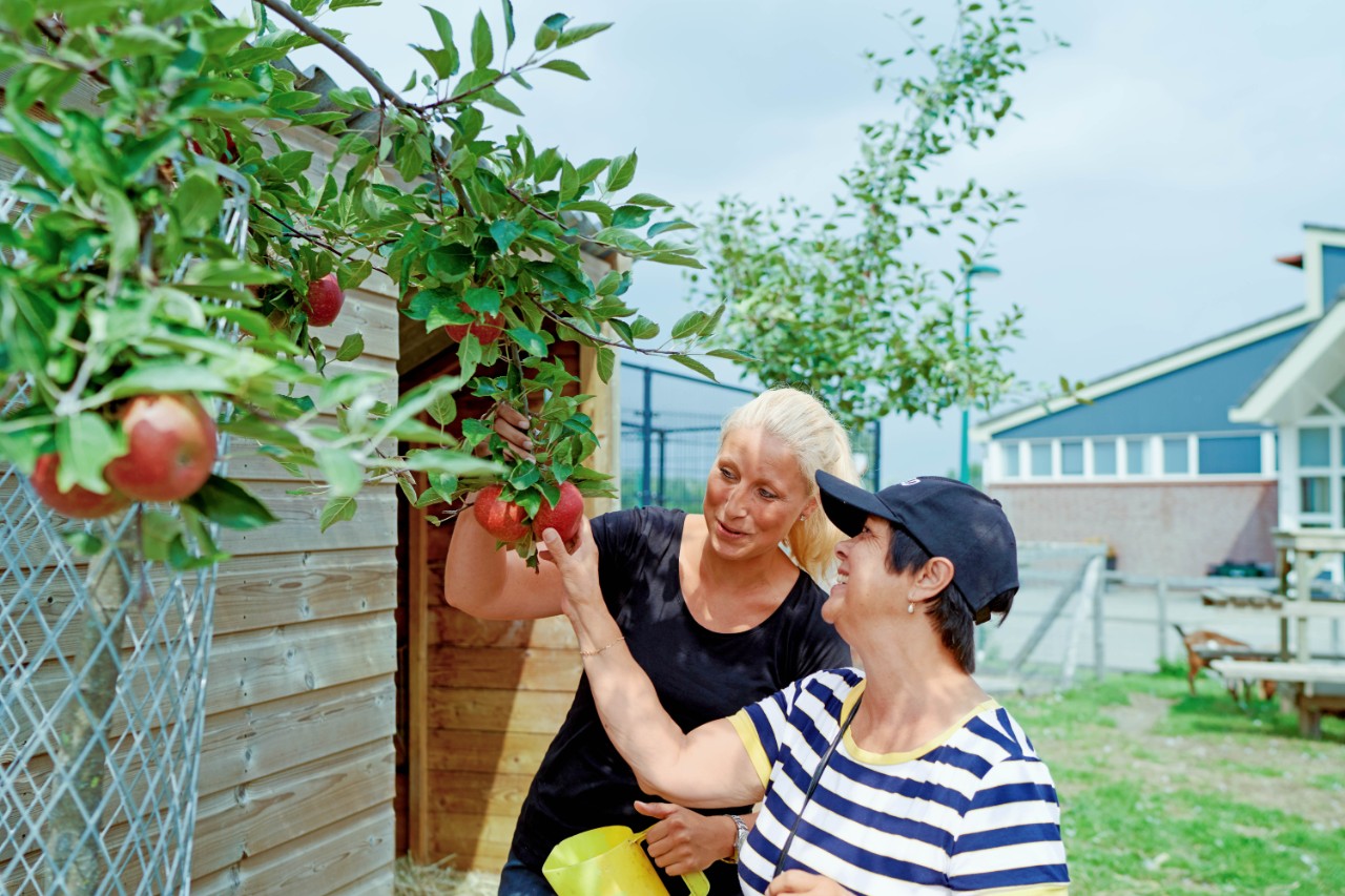 Dagbesteding - appels plukken